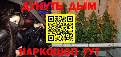 гашик Краснознаменск